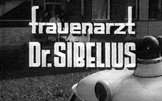 Frauenarzt Dr. Sibelius